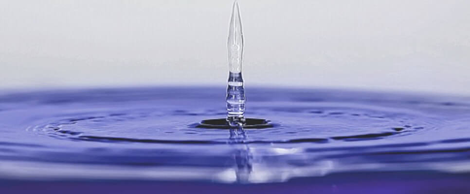 Reflectere - Prof. Dr. Anke Langner